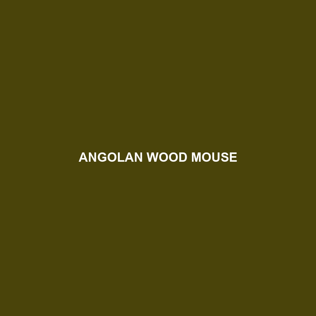 Angolan Wood Mouse