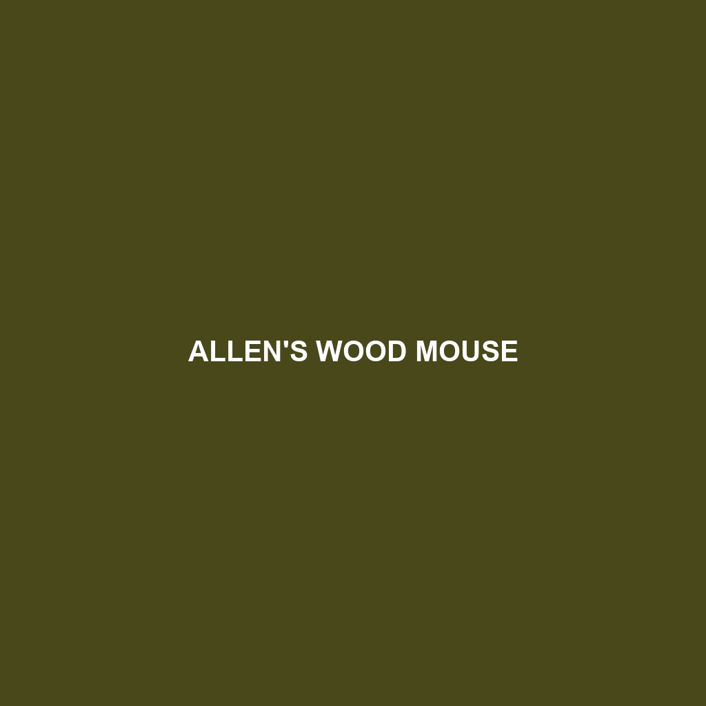 Allen's Wood Mouse