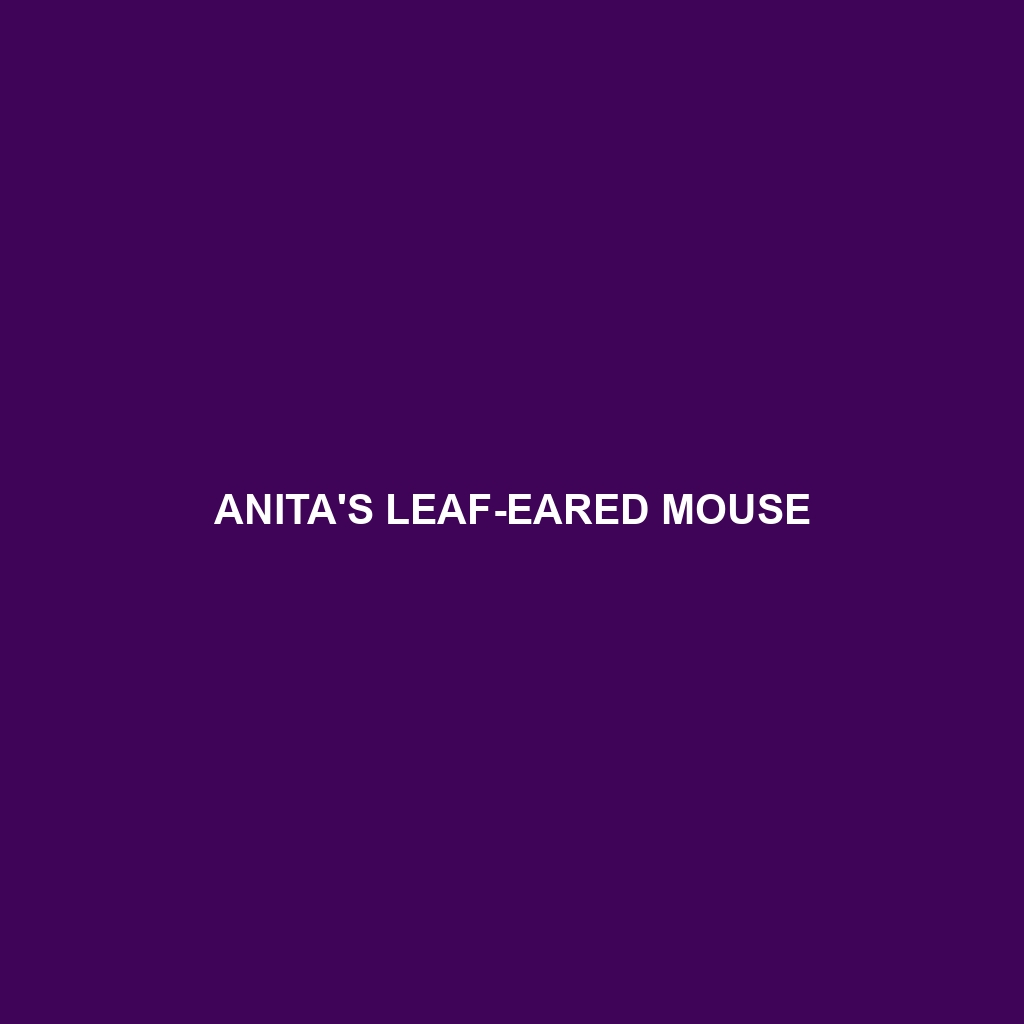 Anita's Leaf-eared Mouse