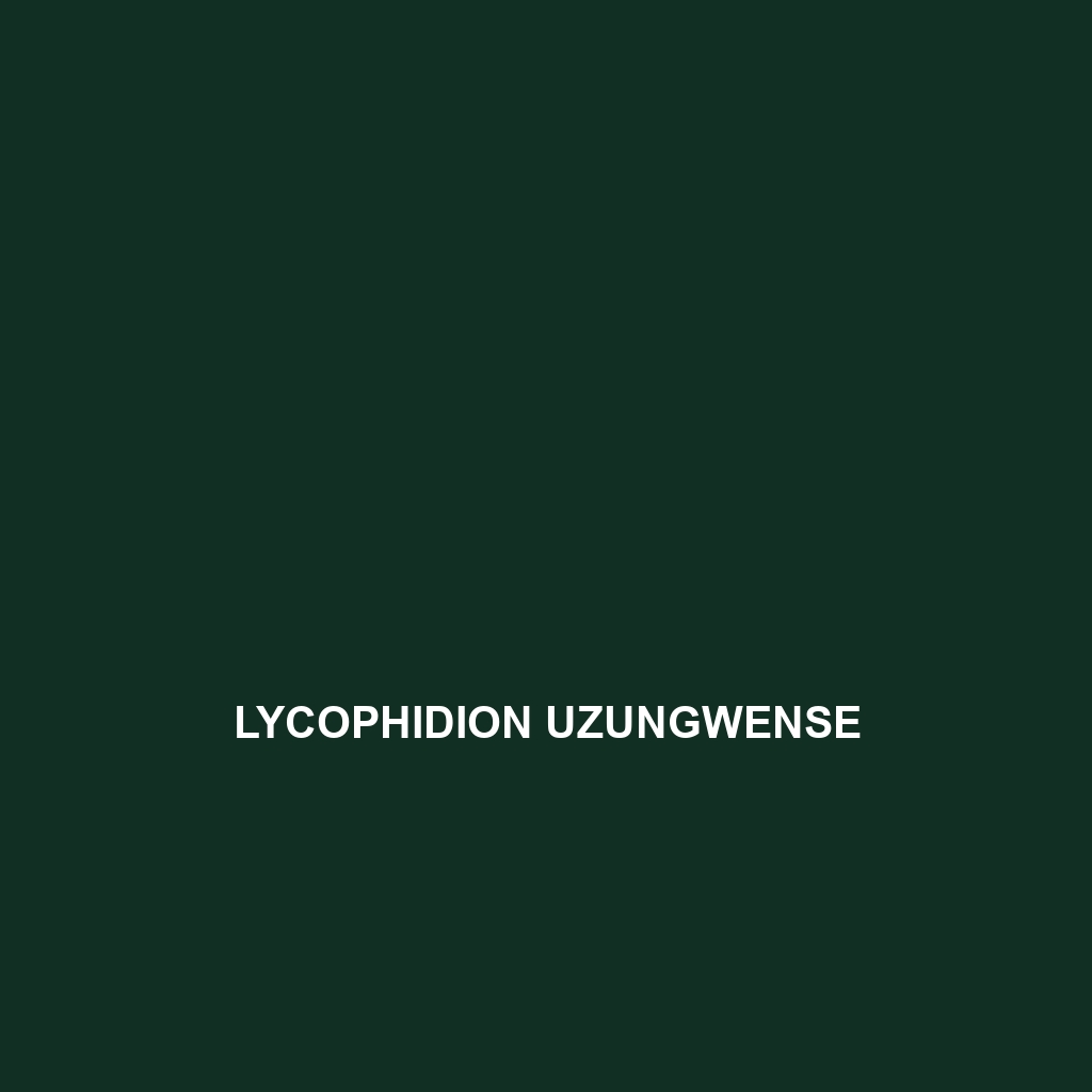 Lycophidion uzungwense