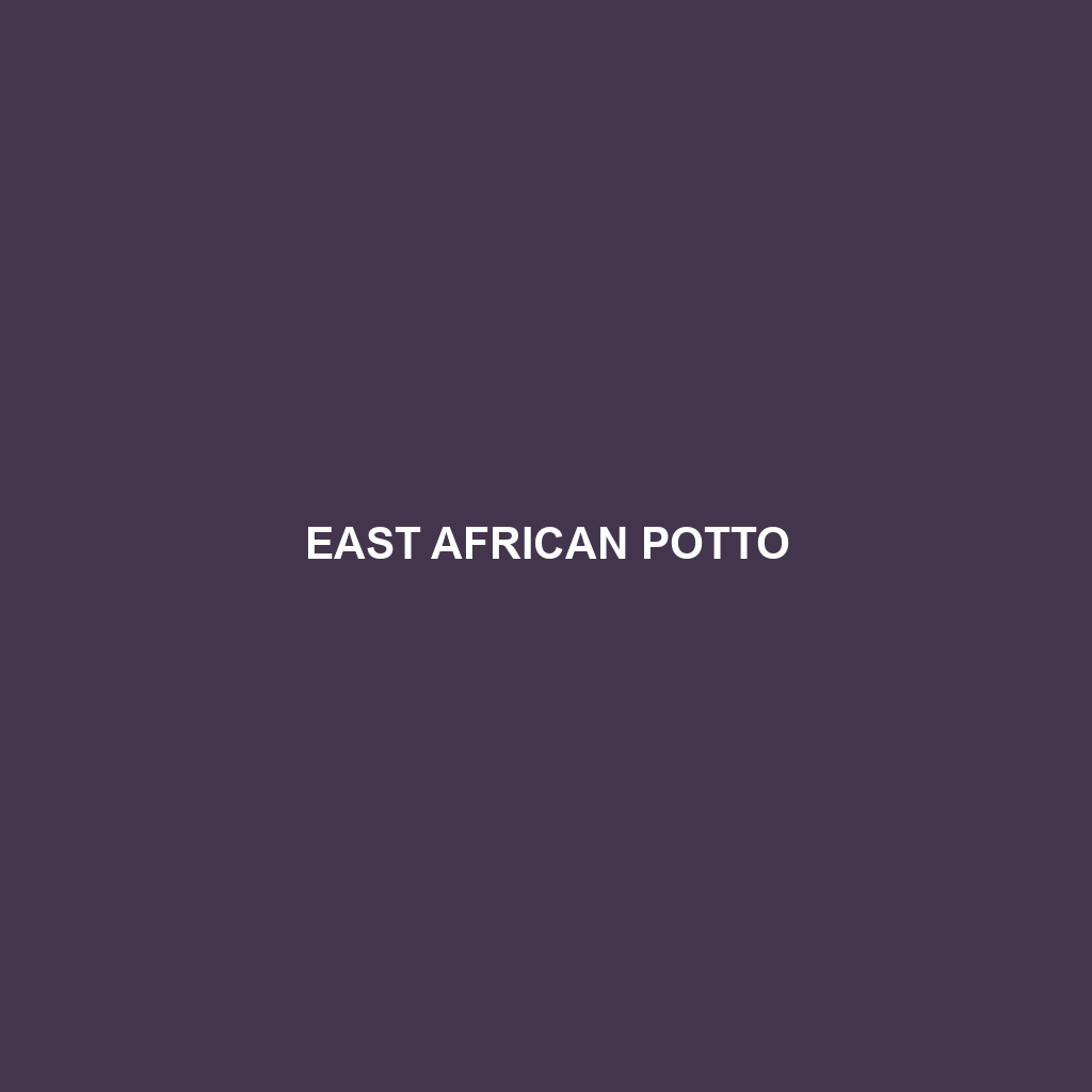 East African Potto