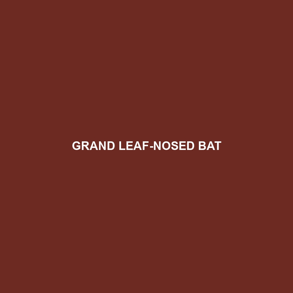 Grand Leaf-nosed Bat