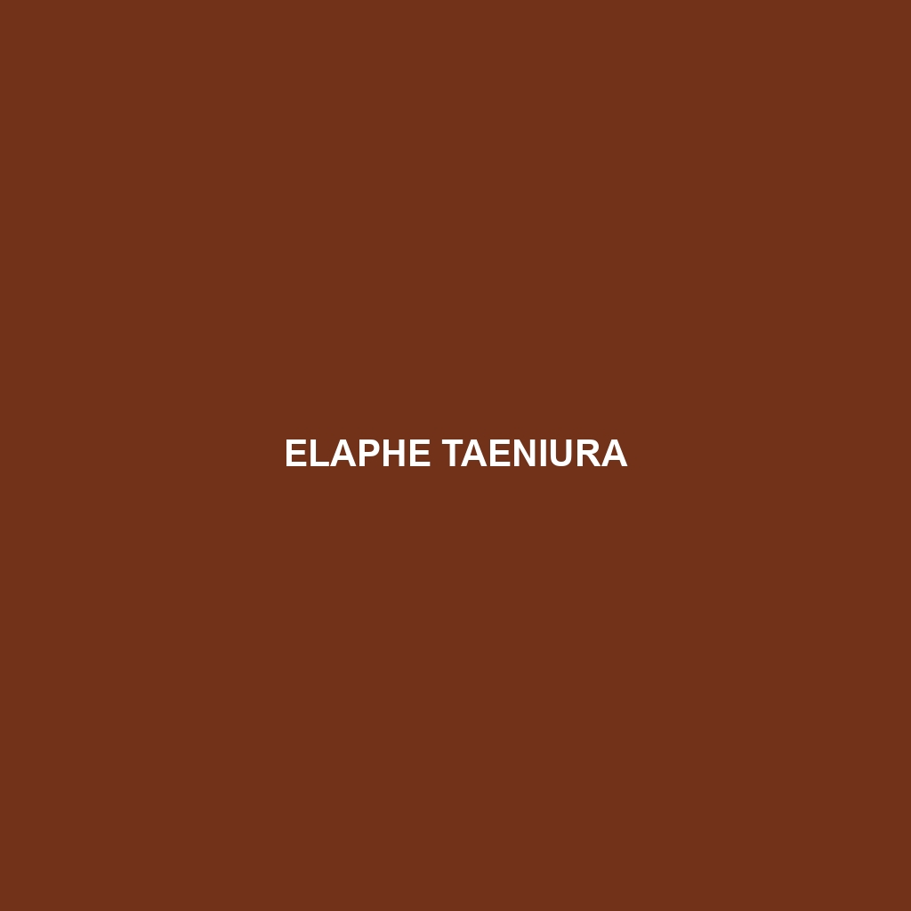 Elaphe taeniura