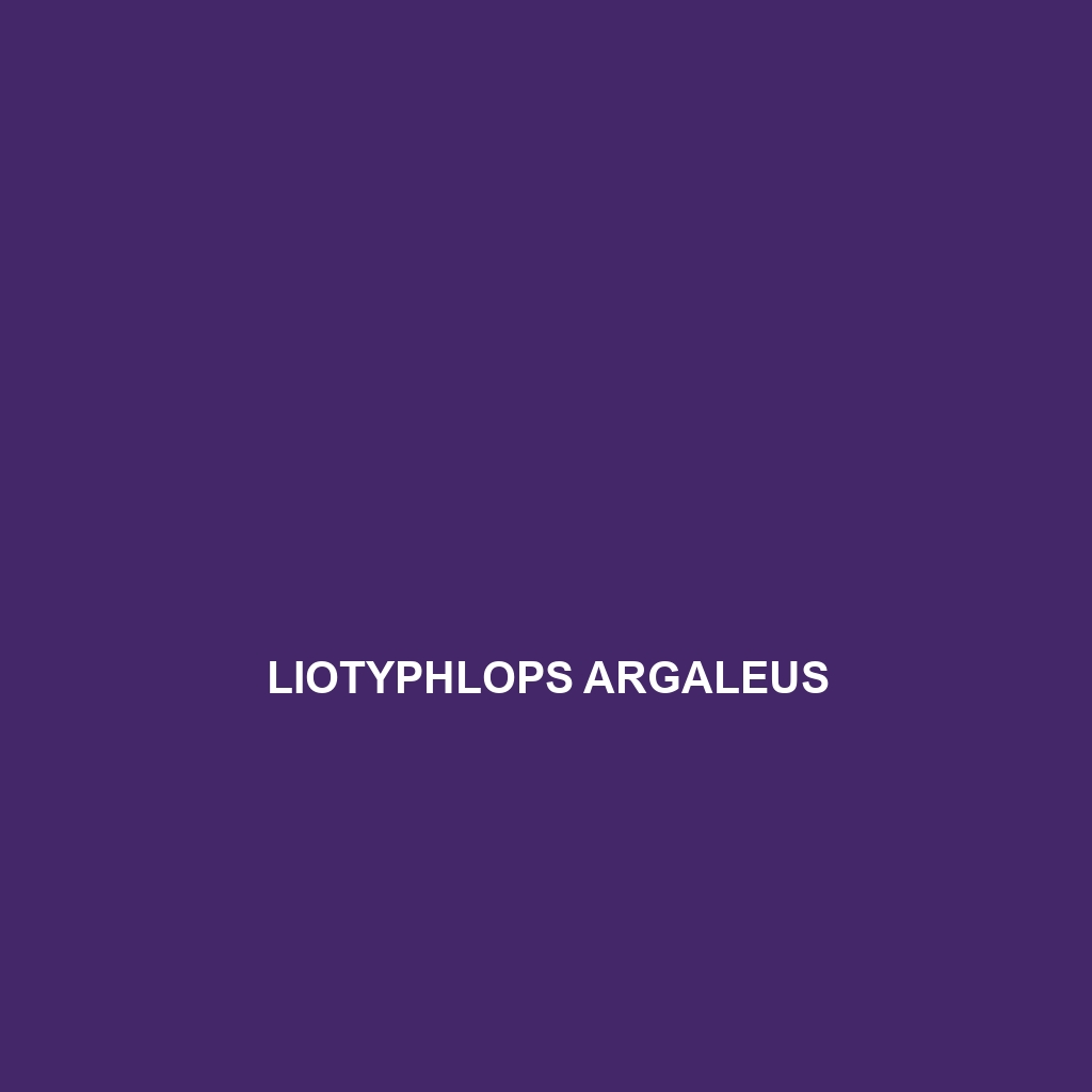 Liotyphlops argaleus