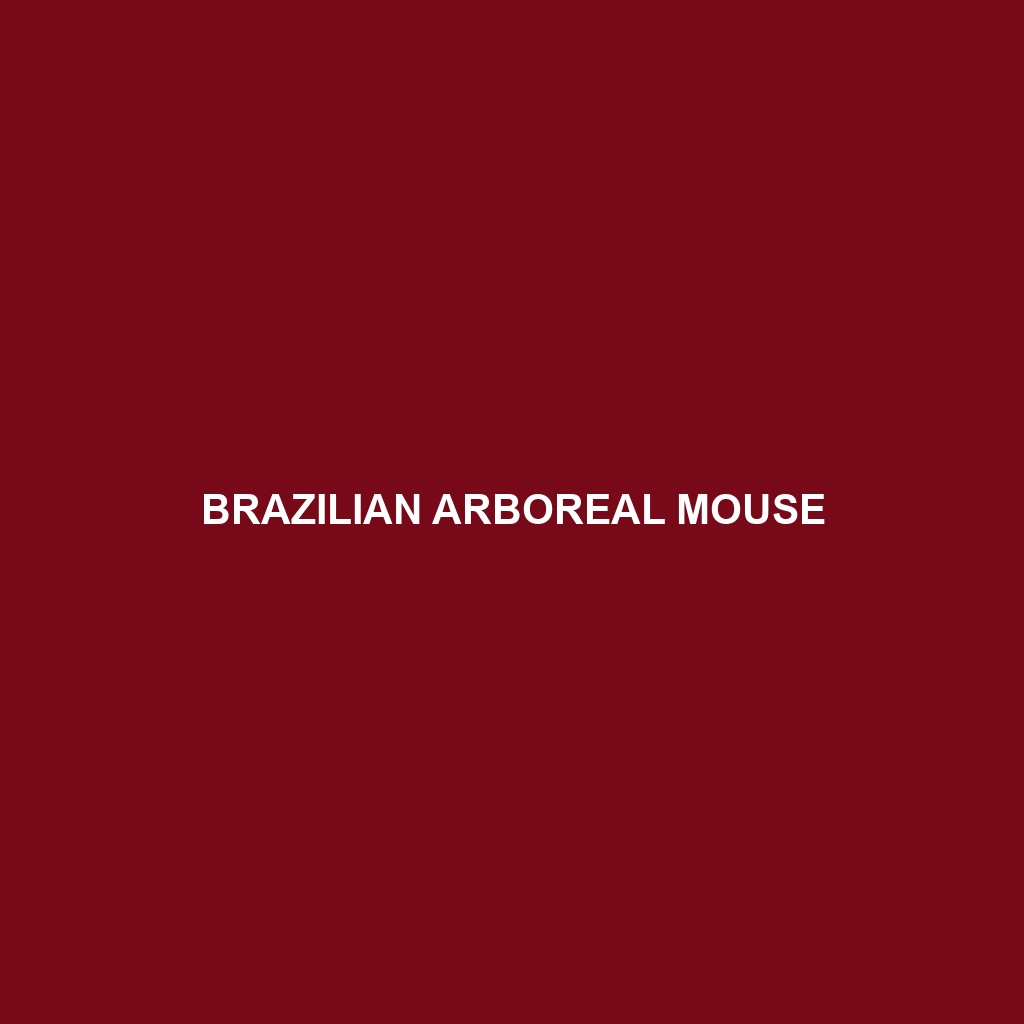 Brazilian Arboreal Mouse