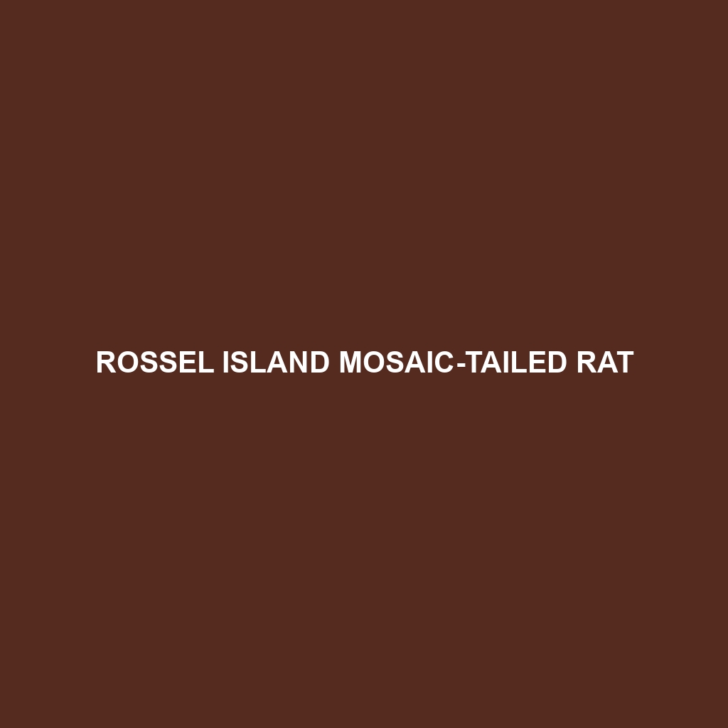 Rossel Island Mosaic-tailed Rat