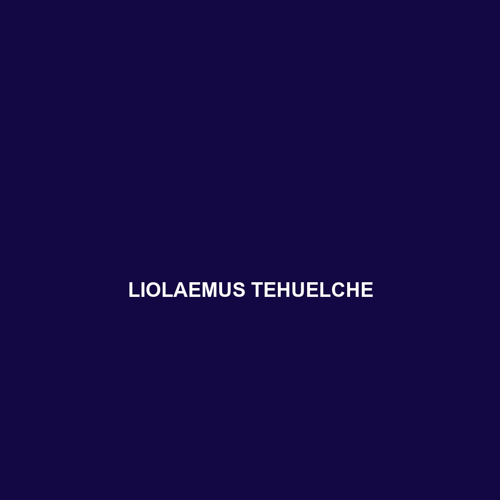 Liolaemus tehuelche