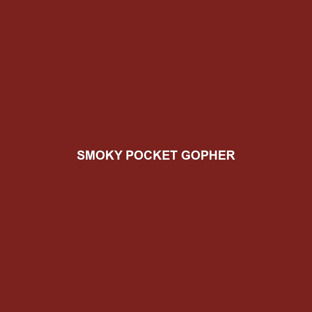 Smoky Pocket Gopher