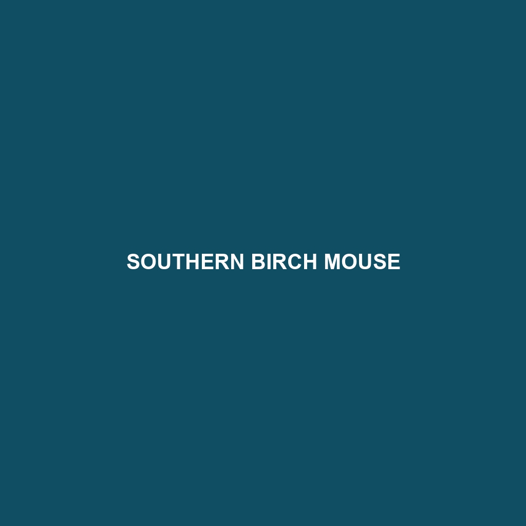 Southern Birch Mouse