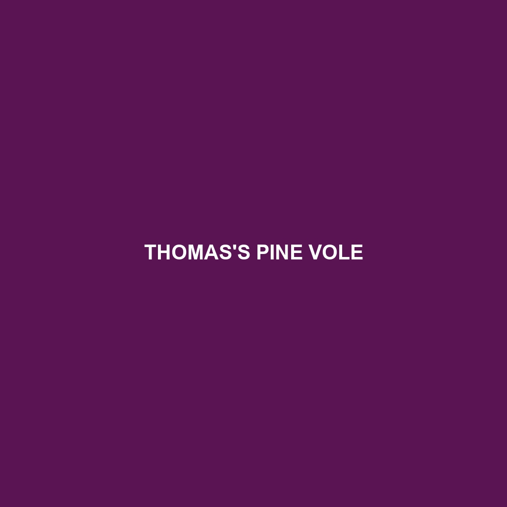 Thomas's Pine Vole