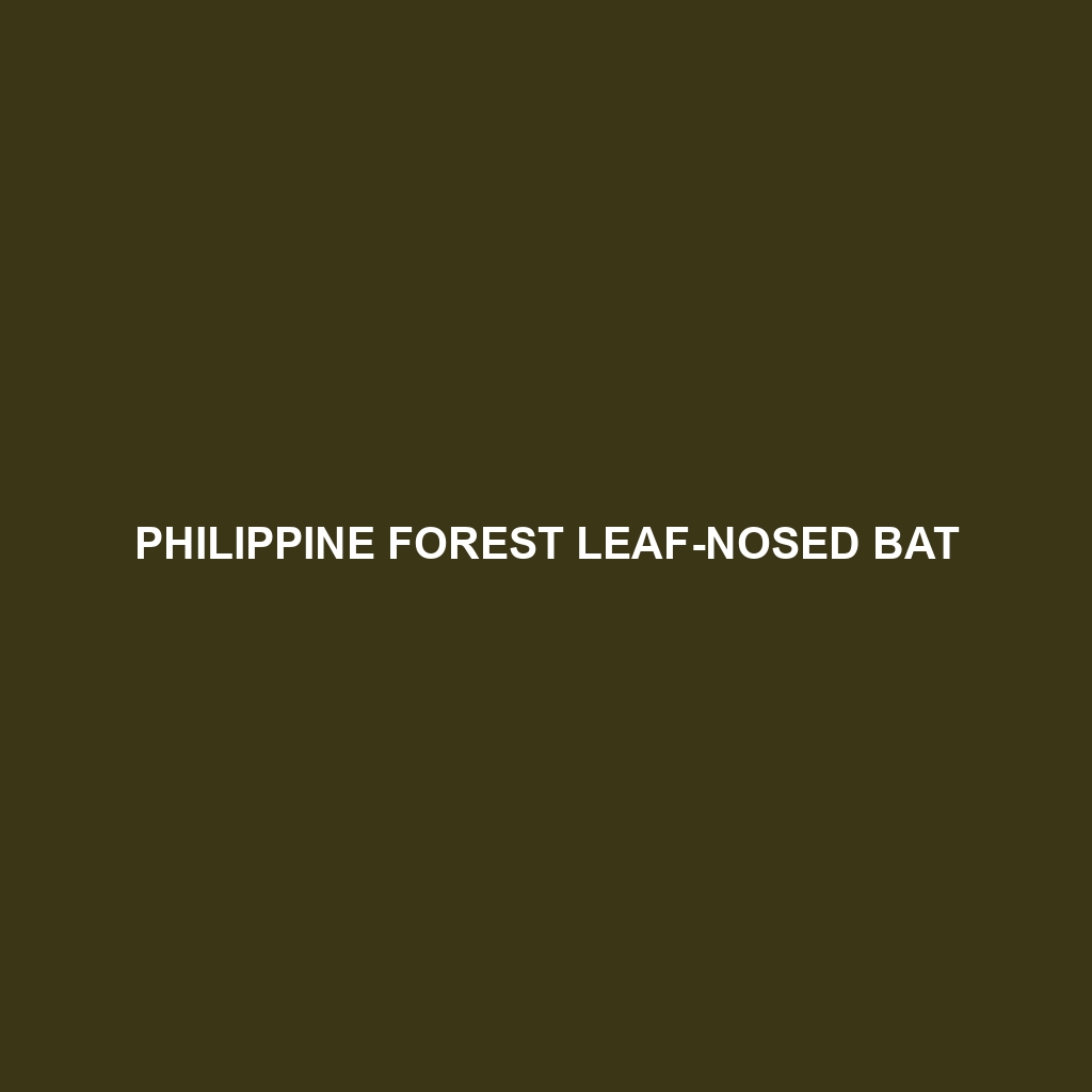 Philippine Forest Leaf-nosed Bat