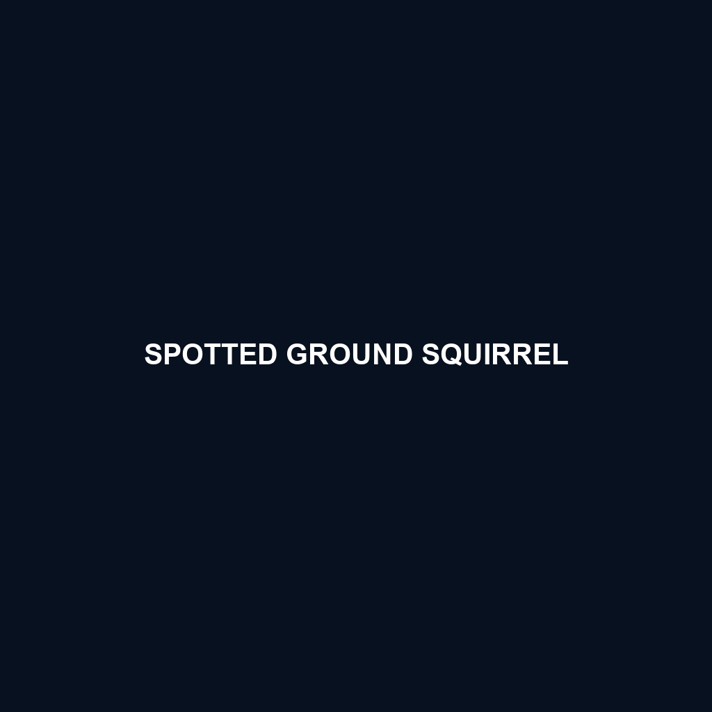 Spotted Ground Squirrel