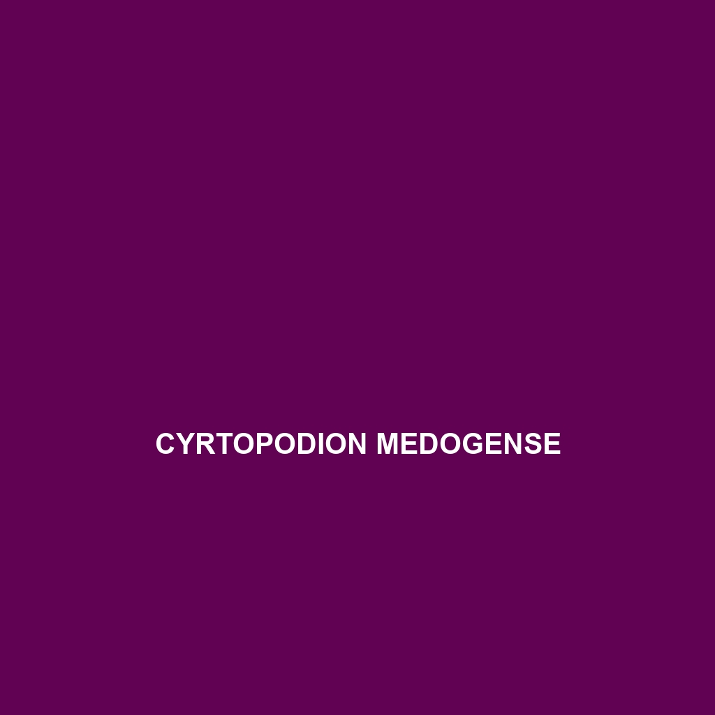 Cyrtopodion medogense