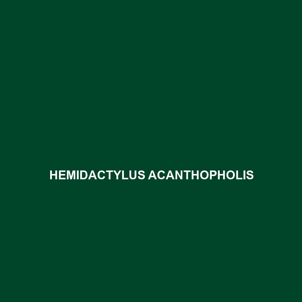 Hemidactylus acanthopholis