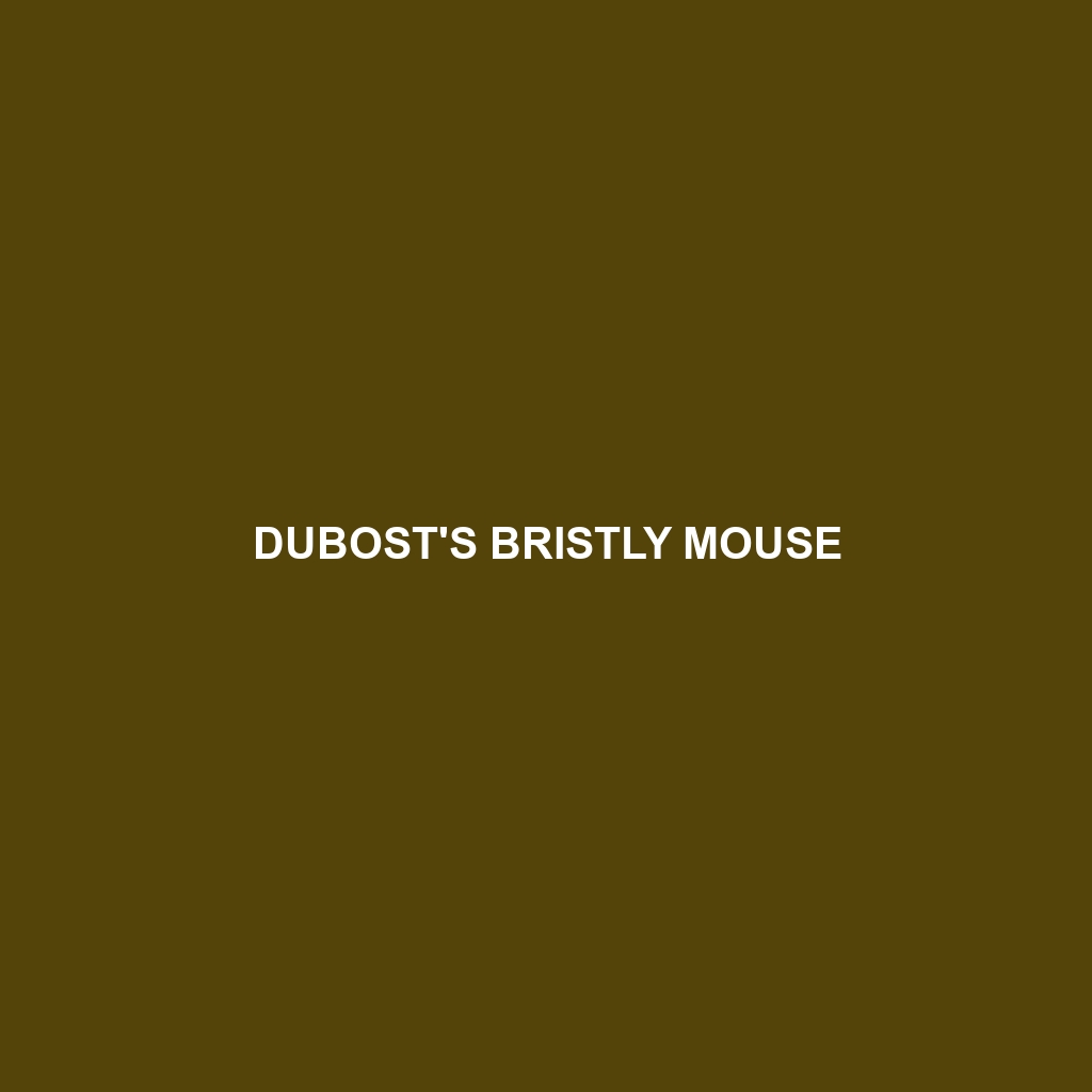 Dubost's Bristly Mouse