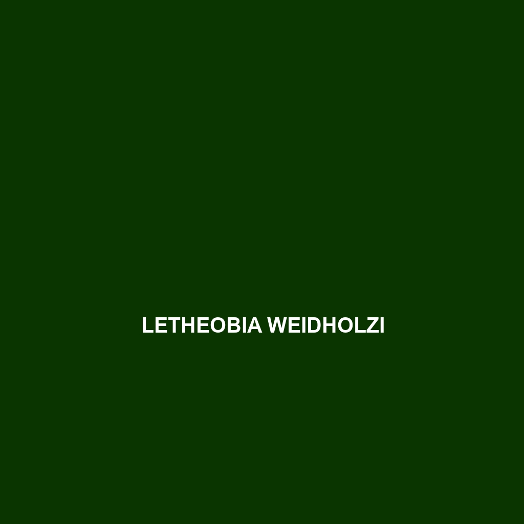 Letheobia uluguruensis