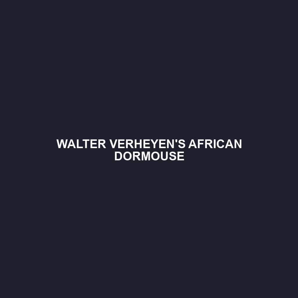 Walter Verheyen's African Dormouse