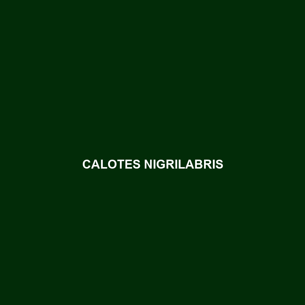 Calotes nigrilabris