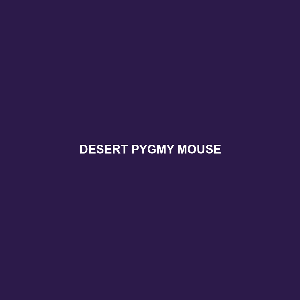 Desert Pygmy Mouse