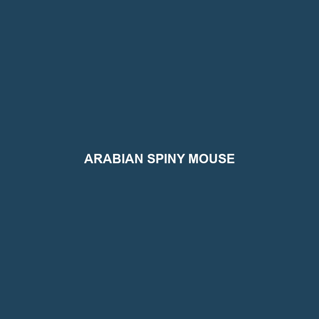 Arabian Spiny Mouse