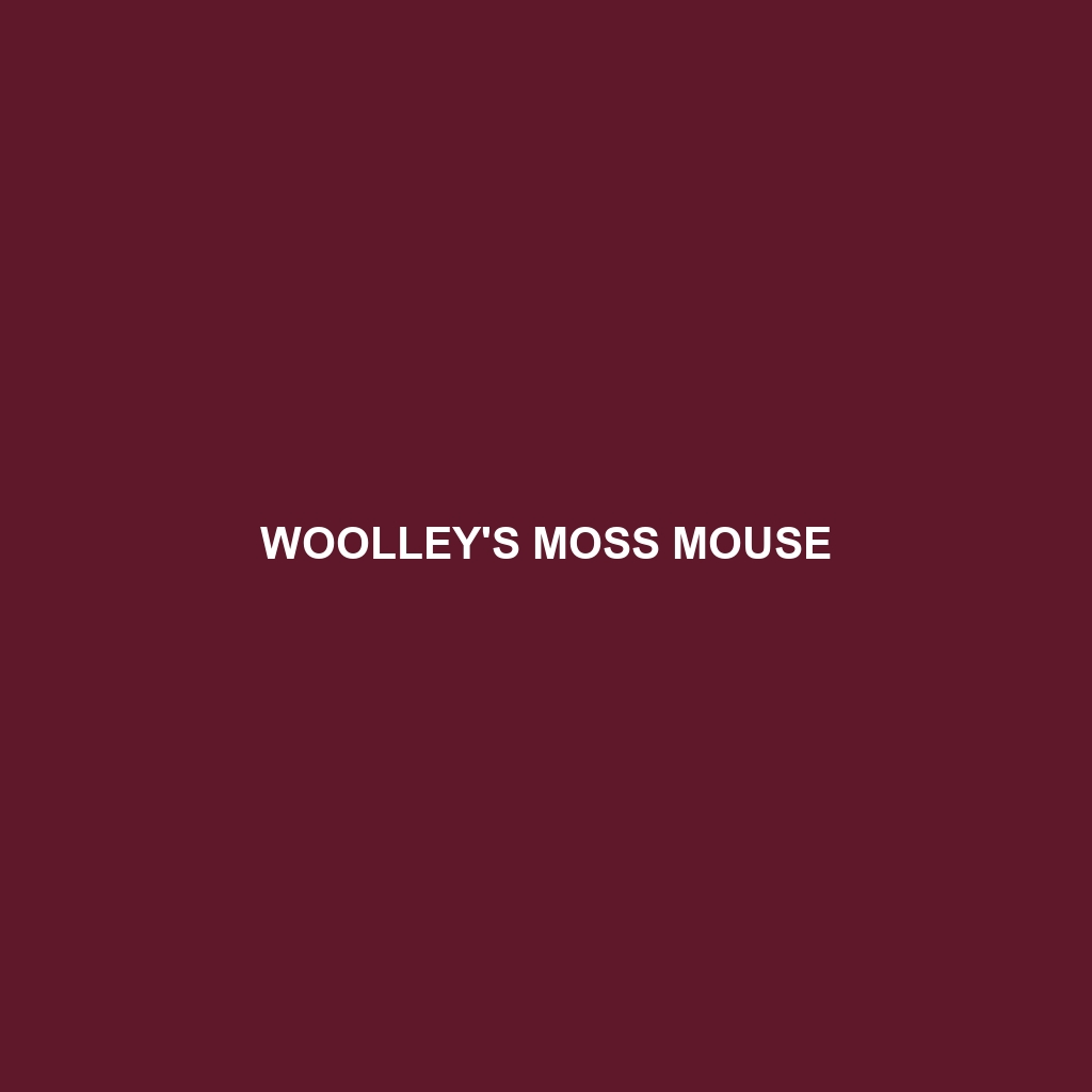 Woolley's Moss Mouse