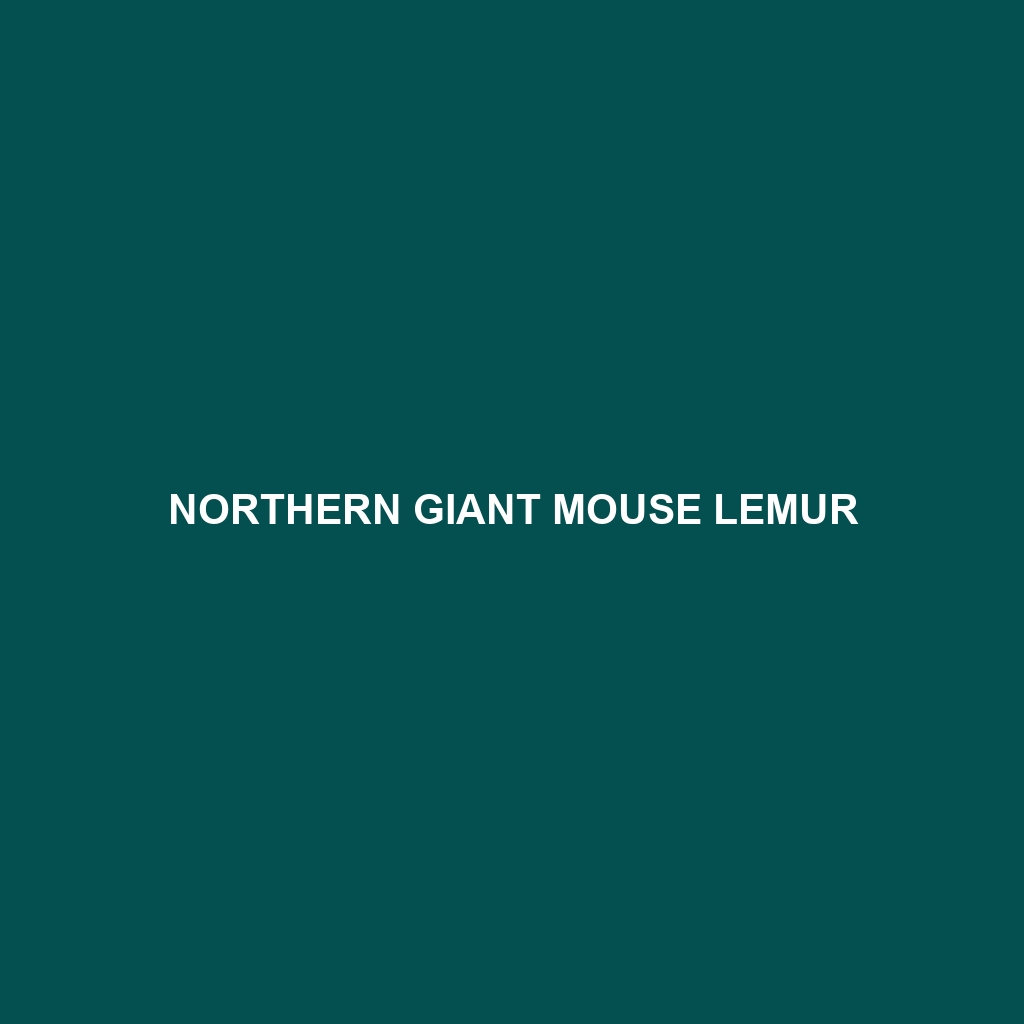 Northern Giant Mouse Lemur