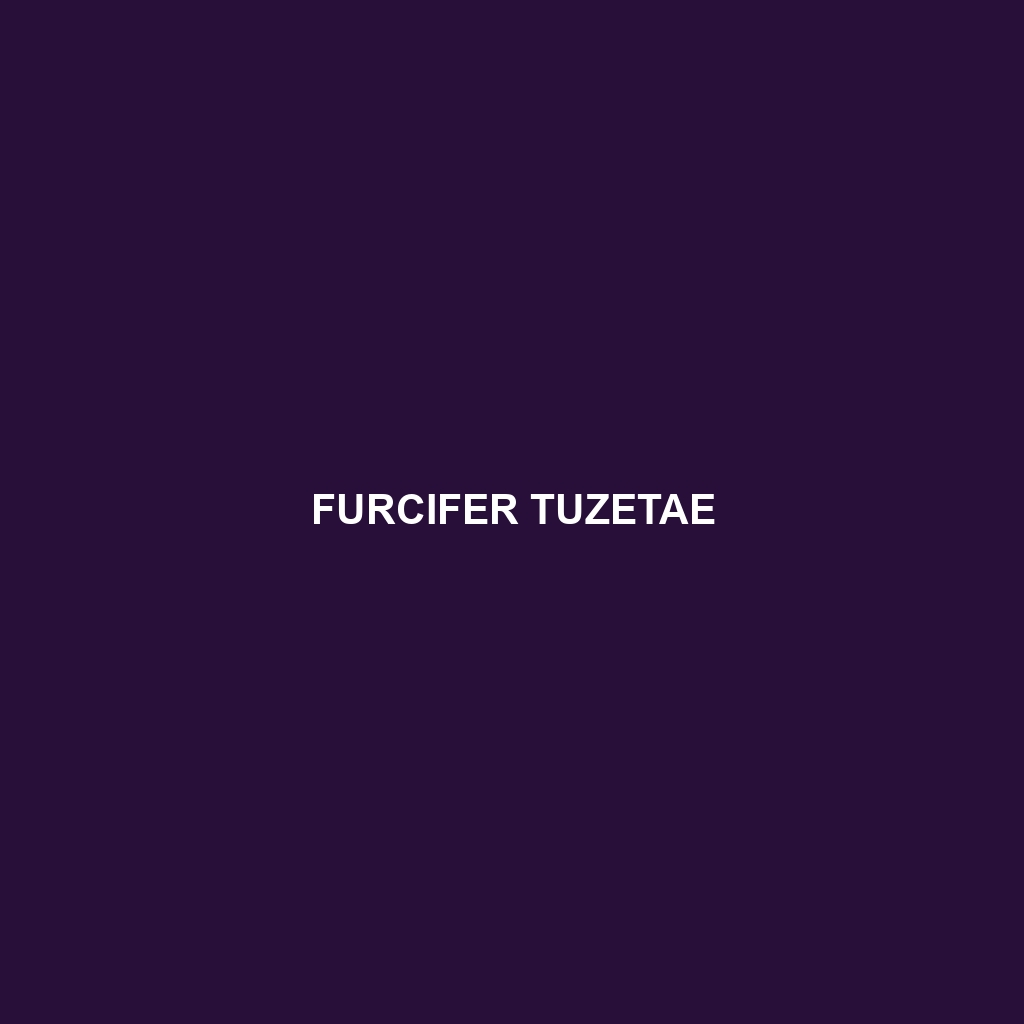 Furcifer tuzetae