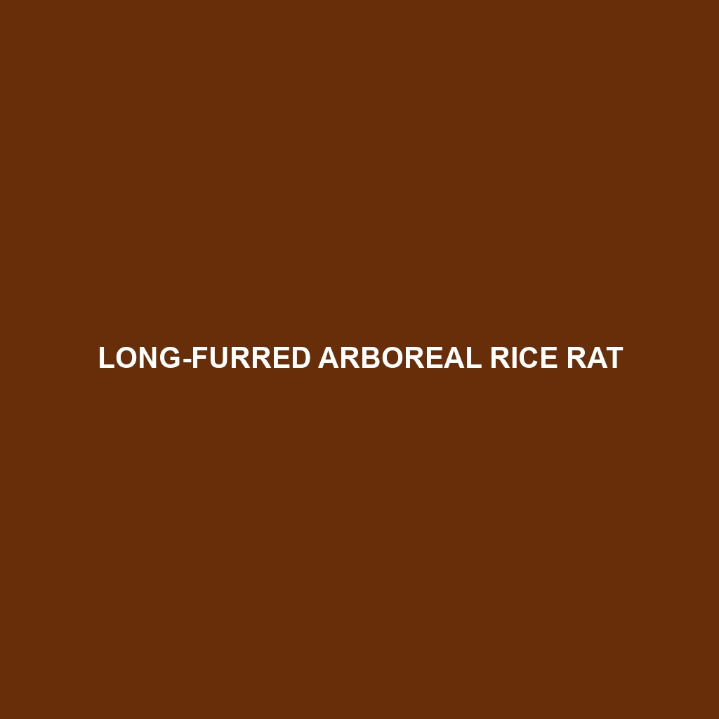 Long-furred Arboreal Rice Rat