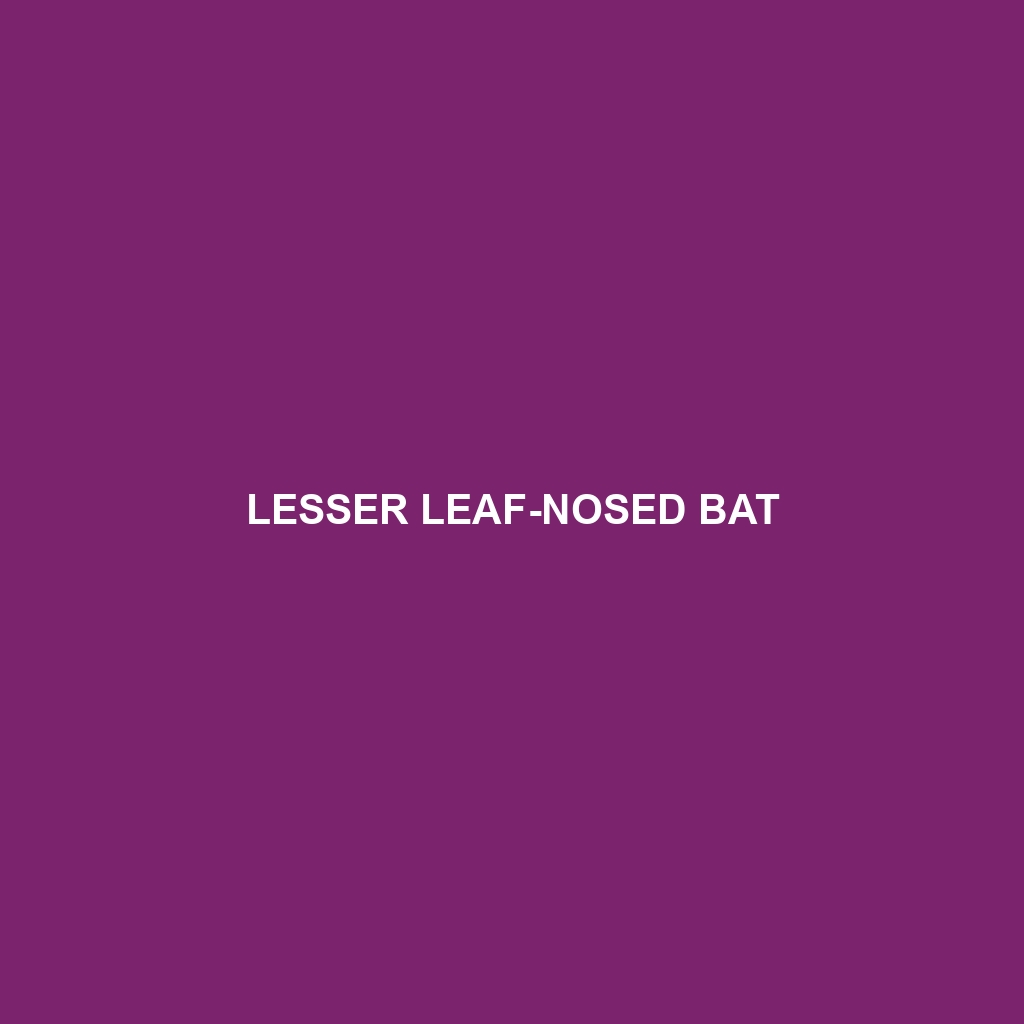 Lesser Leaf-nosed Bat