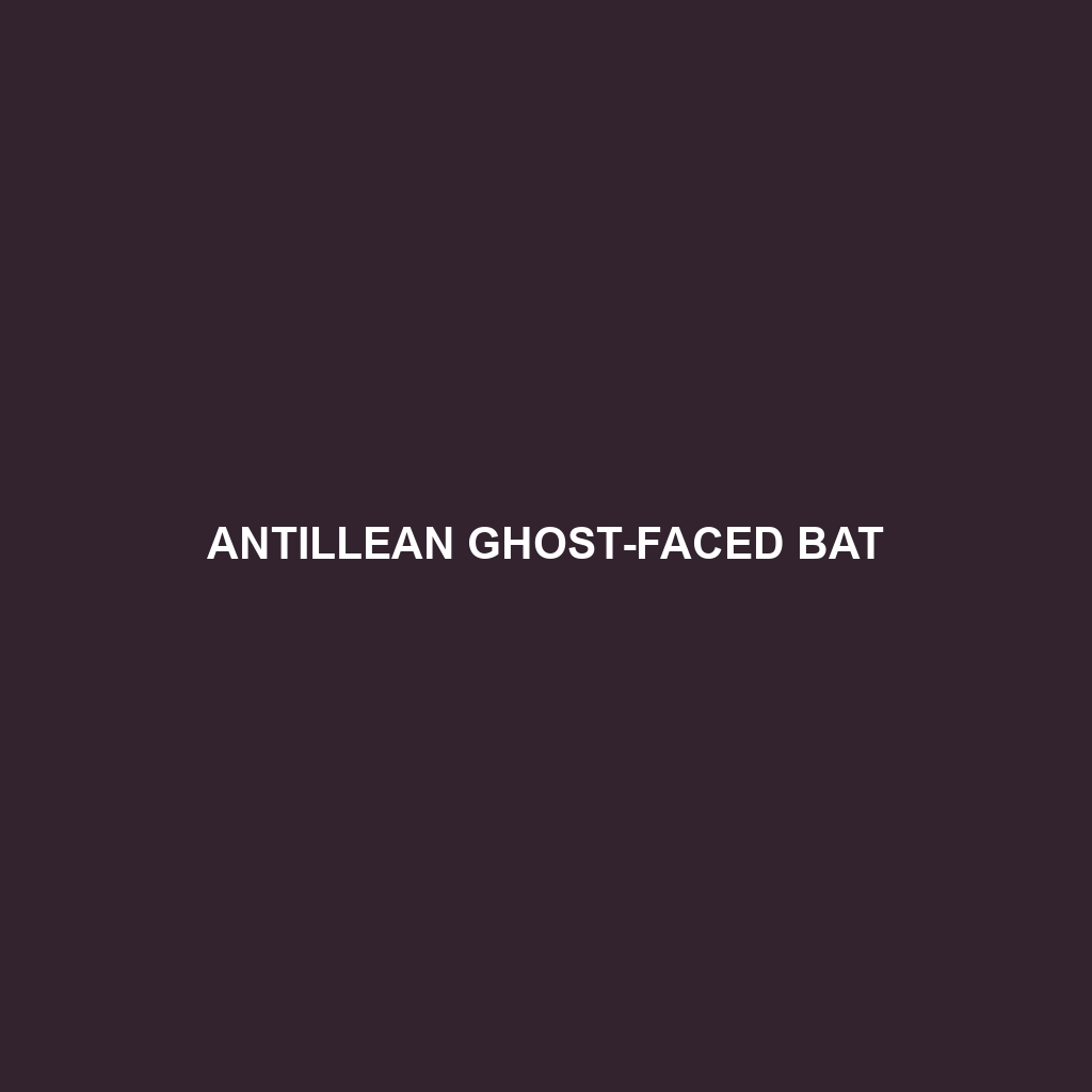 Antillean Ghost-faced Bat