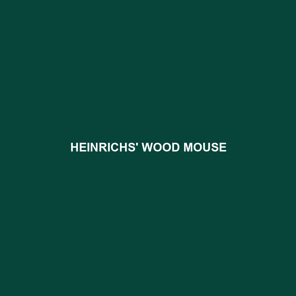 Heinrichs' Wood Mouse