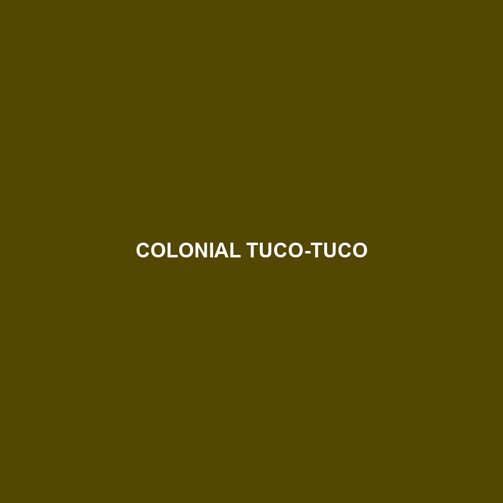 Colonial Tuco-tuco