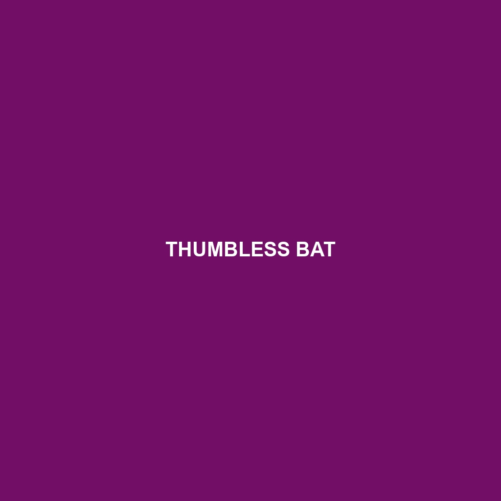 Thumbless Bat