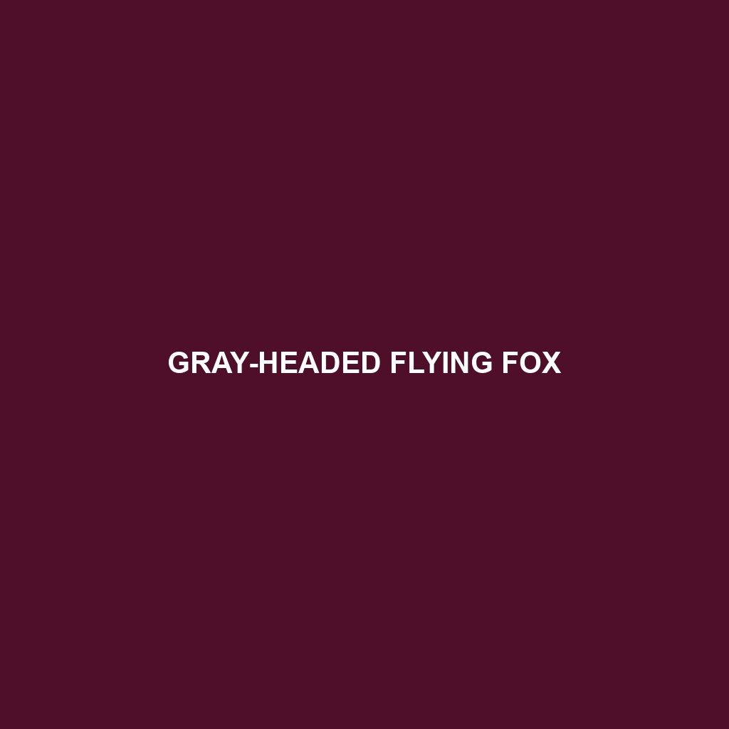 Gray-headed Flying Fox