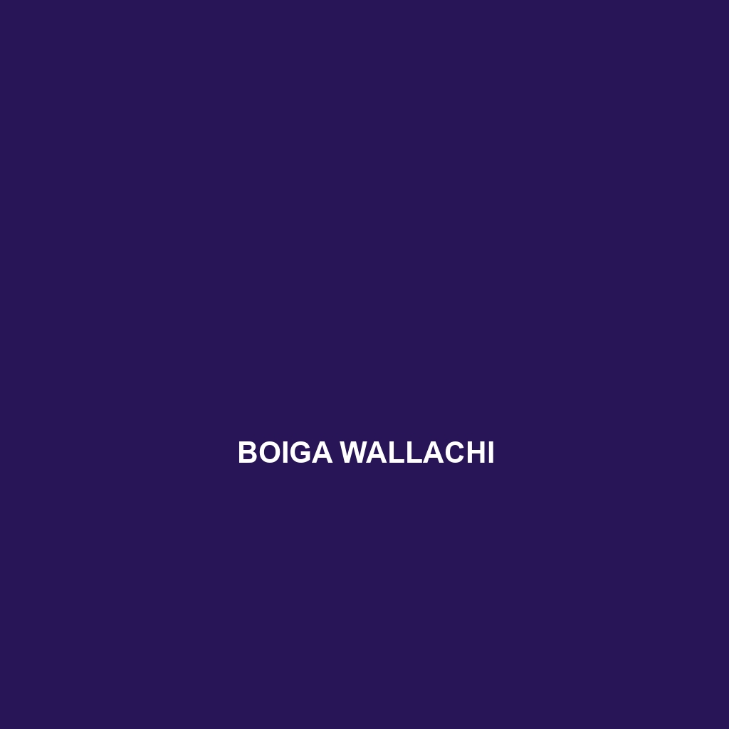 Boiga wallachi