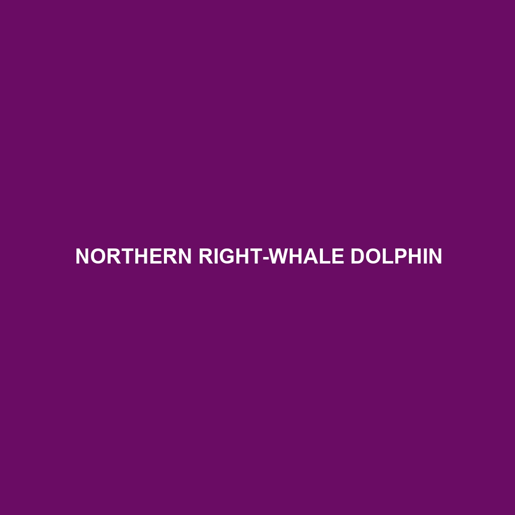 Northern Right-whale Dolphin