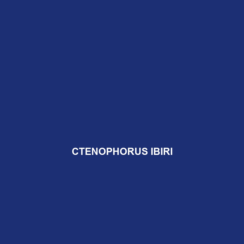 Ctenophorus ibiri