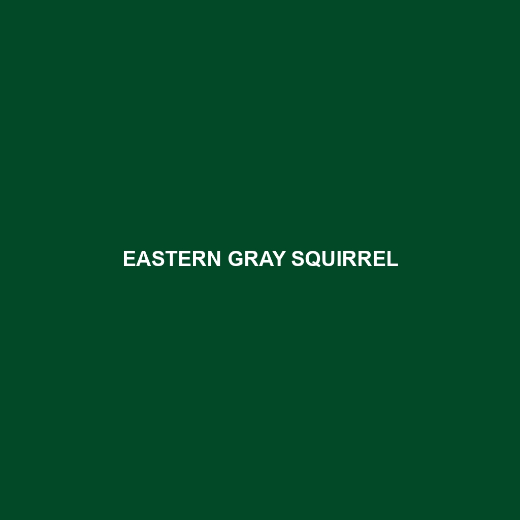 Eastern Gray Squirrel