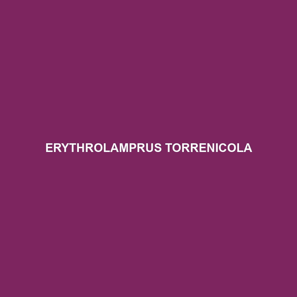 Erythrolamprus torrenicola