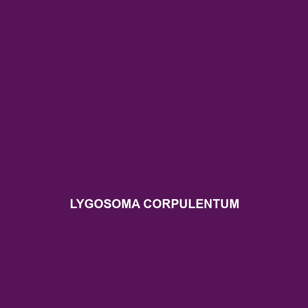 Lygosoma corpulentum