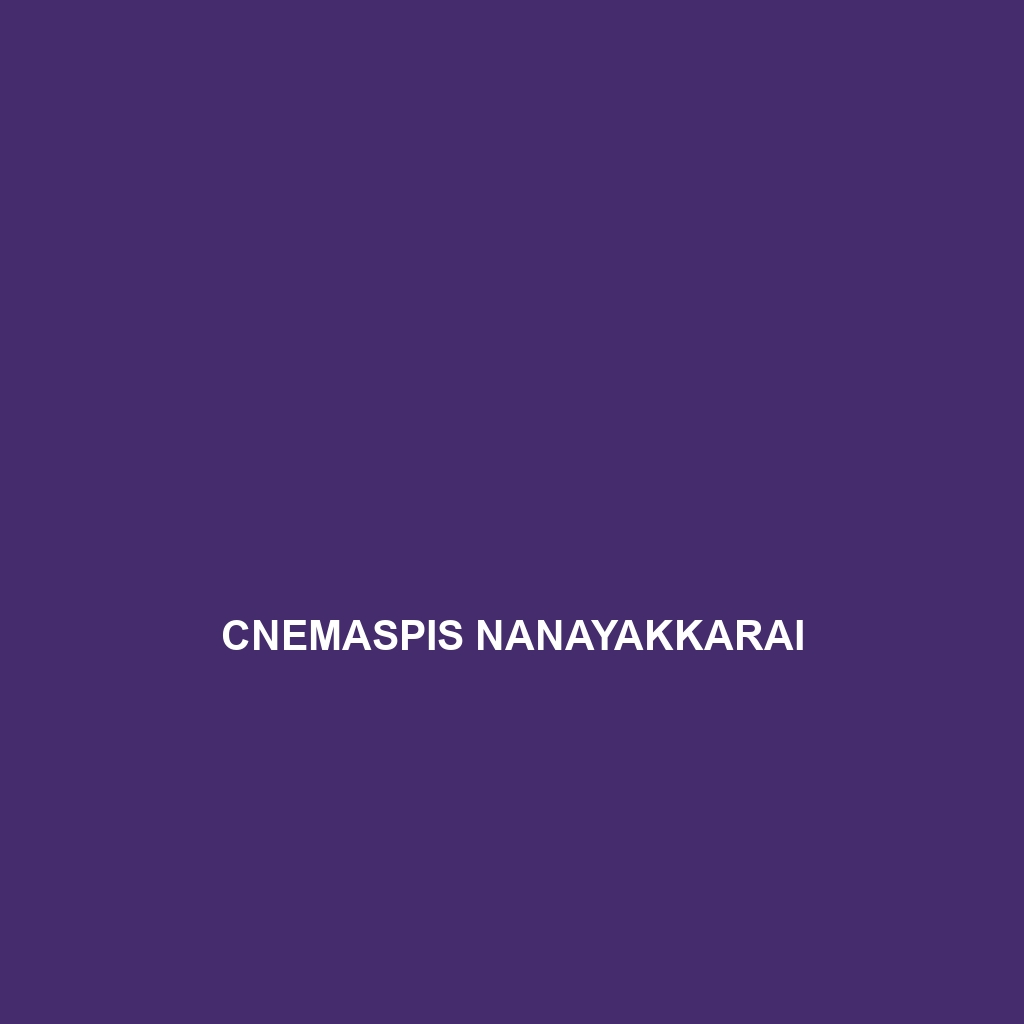 Cnemaspis nanayakkarai