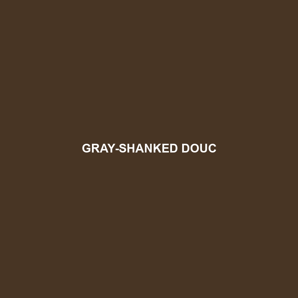 Gray-shanked Douc