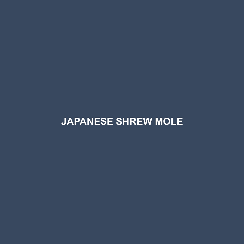 Japanese Shrew Mole