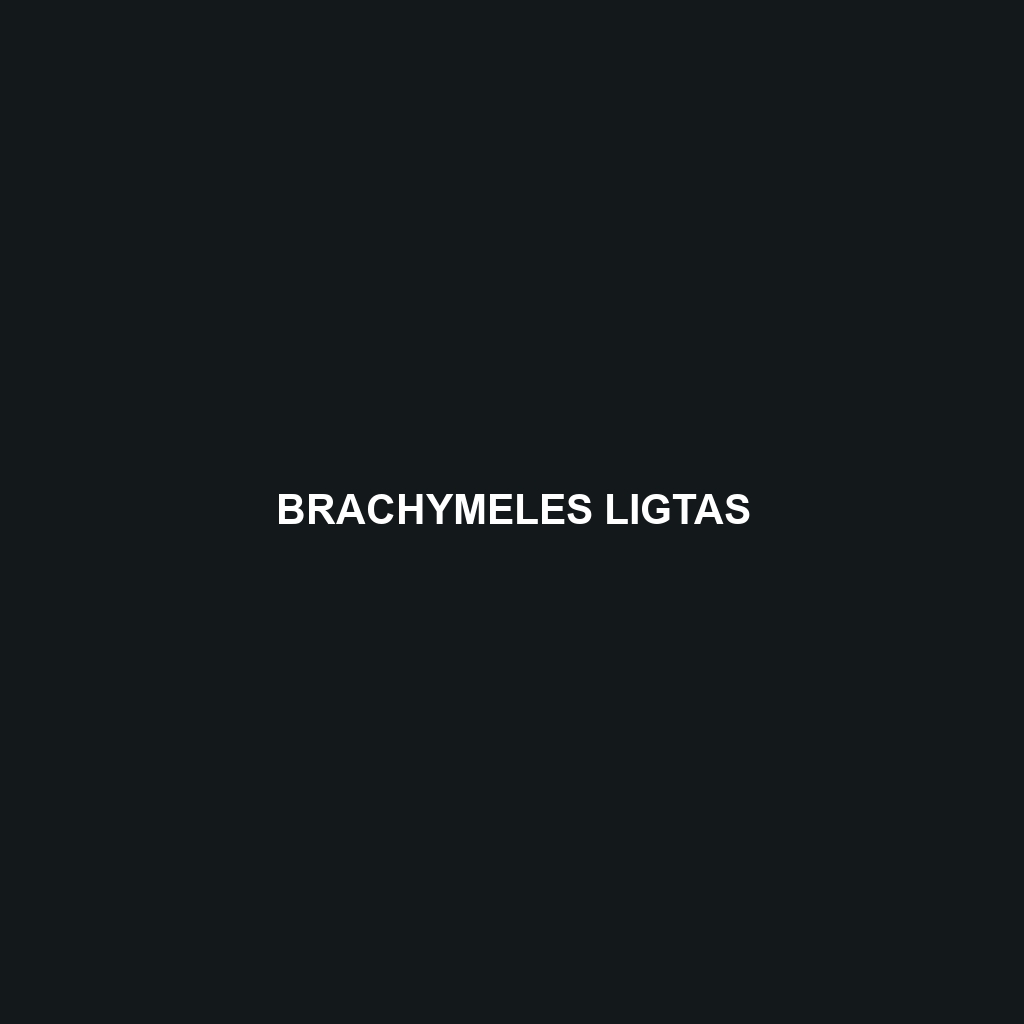 Brachymeles ligtas