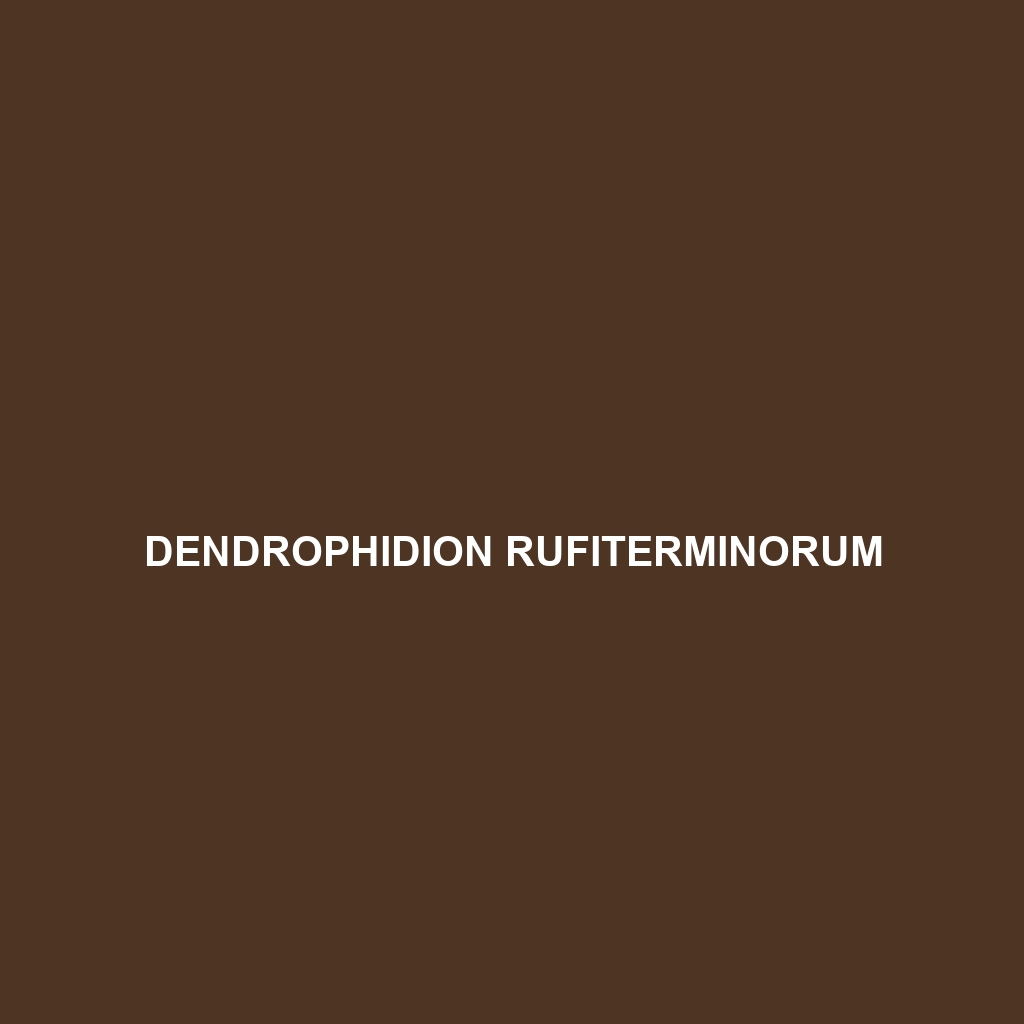 Dendrophidion rufiterminorum