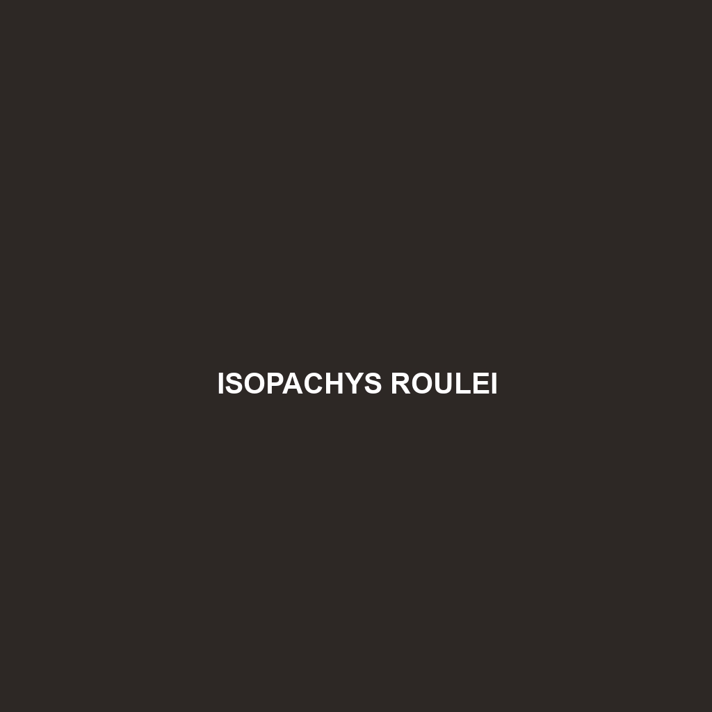 Isopachys roulei