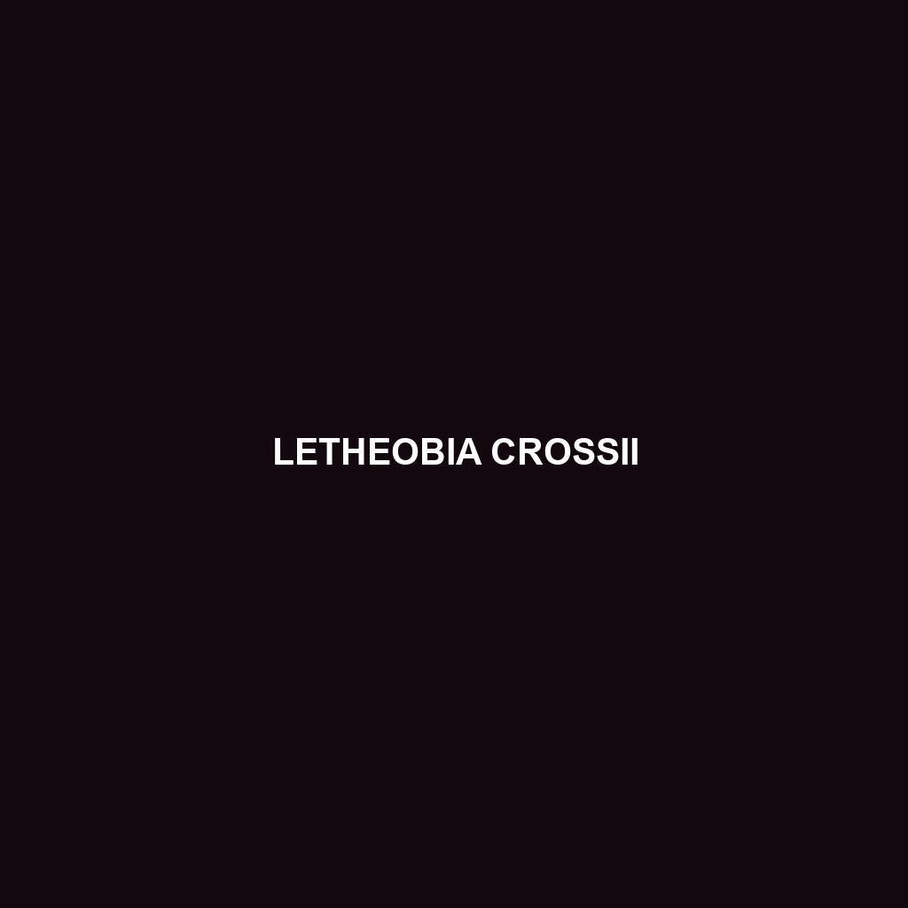 Letheobia crossii