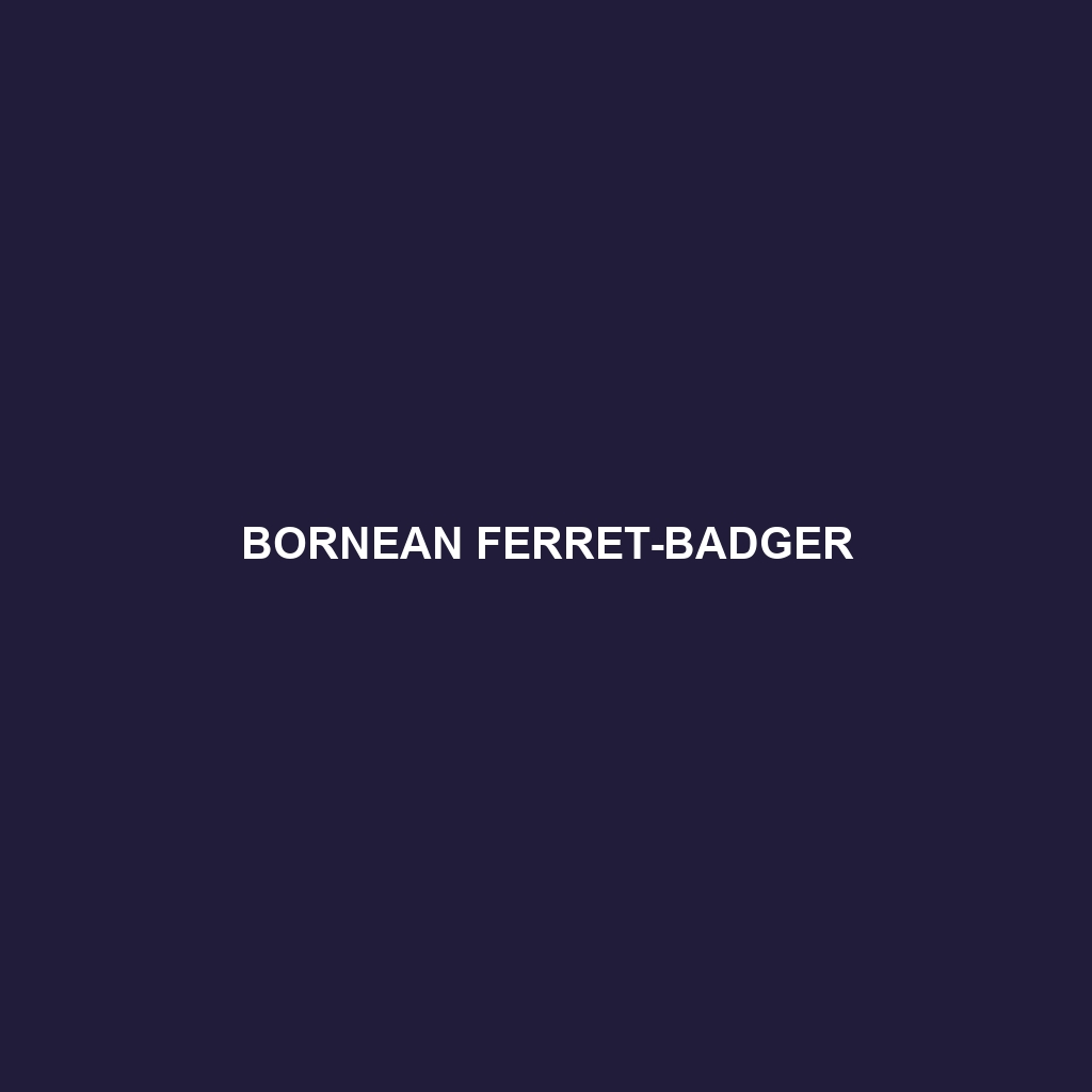 Bornean Ferret-badger