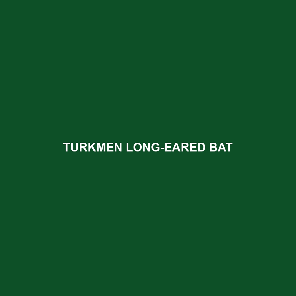 Turkmen Long-eared Bat