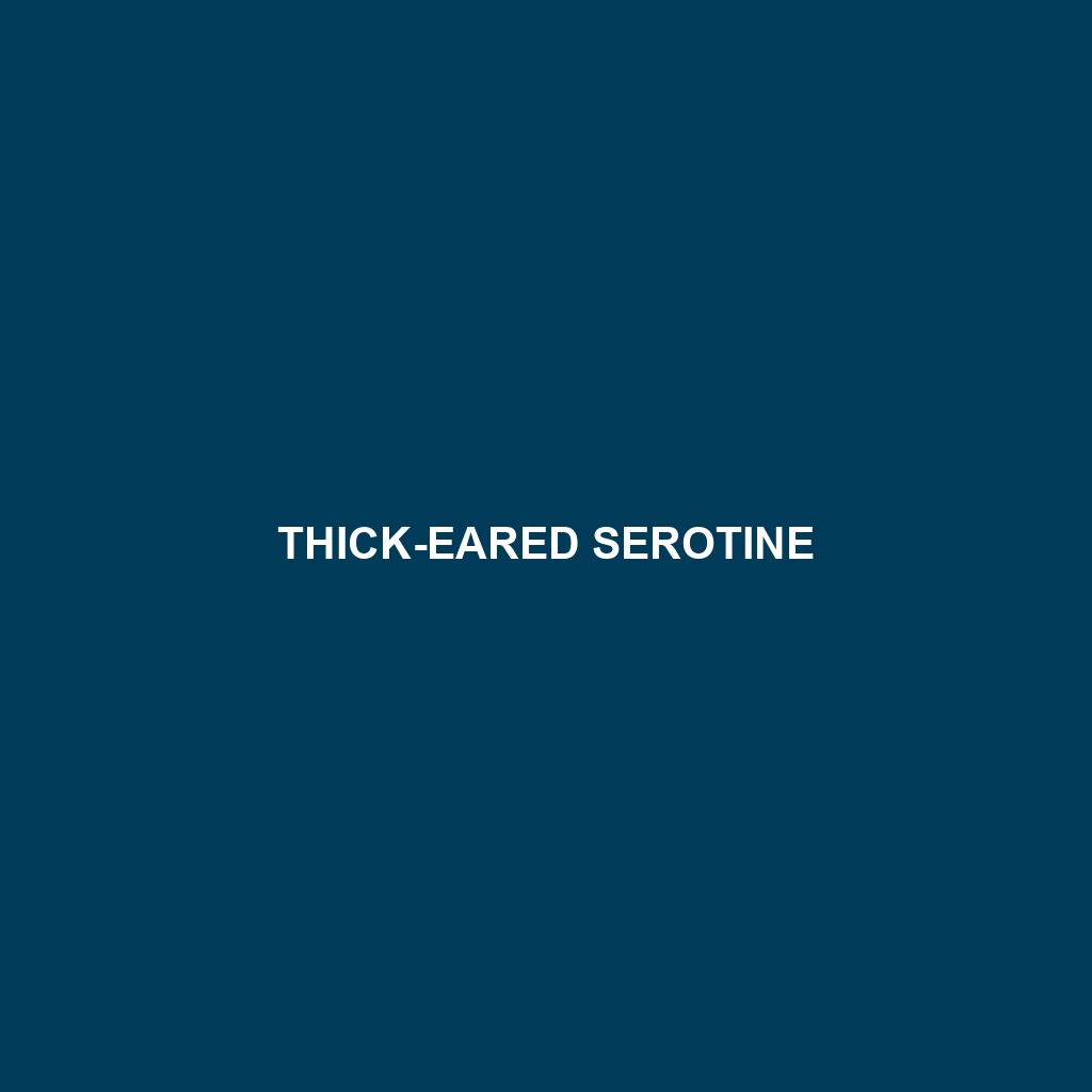 Thick-eared Serotine